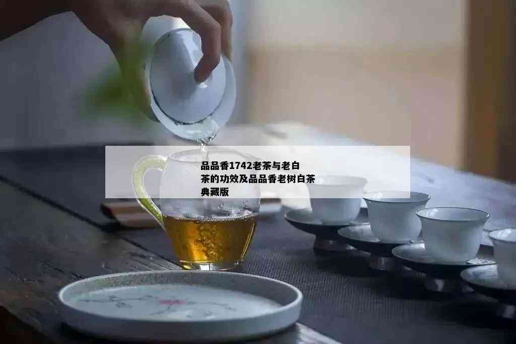 品品香1742老茶与老白茶的功效及品品香老树白茶典藏版