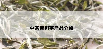 中茶普洱茶产品介绍