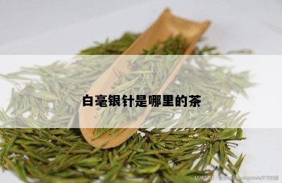 白毫银针是哪里的茶