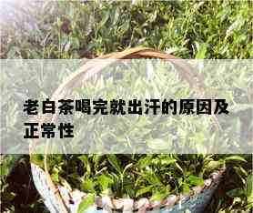 老白茶喝完就出汗的原因及正常性