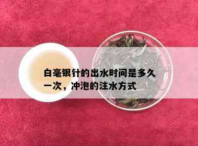 白毫银针的出水时间是多久一次，冲泡的注水方式