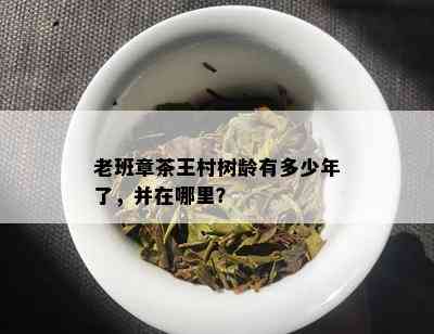 老班章茶王村树龄有多少年了，并在哪里？