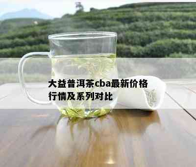 大益普洱茶cba最新价格行情及系列对比