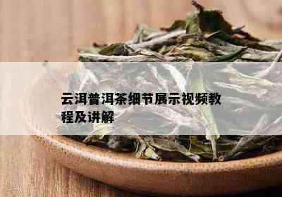 云洱普洱茶细节展示视频教程及讲解