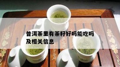 普洱茶里有茶籽好吗能吃吗及相关信息