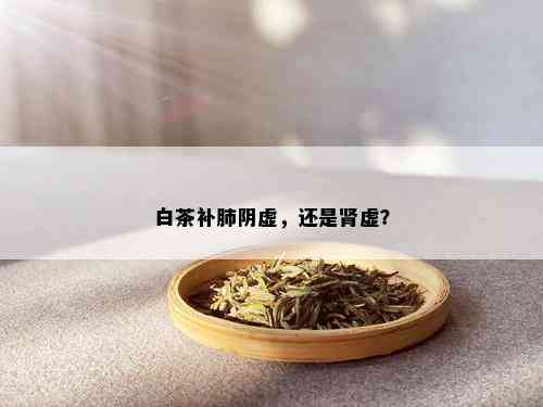 白茶补肺阴虚，还是肾虚？