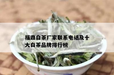 福鼎白茶厂家联系电话及十大白茶品牌排行榜