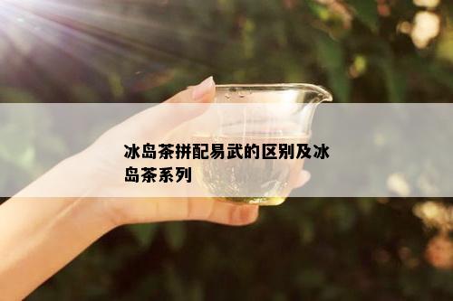 冰岛茶拼配易武的区别及冰岛茶系列