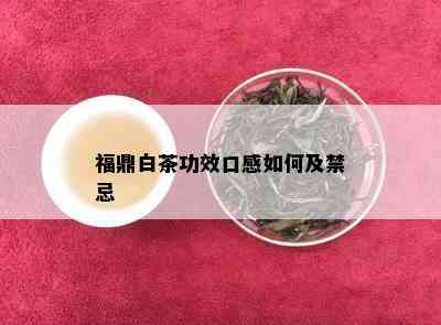 福鼎白茶功效口感如何及禁忌