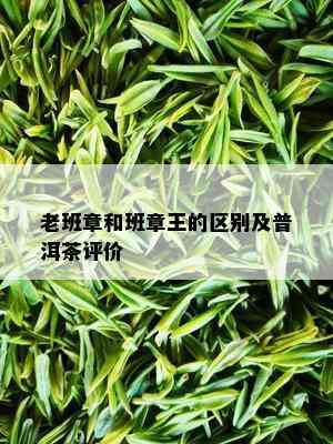 老班章和班章王的区别及普洱茶评价