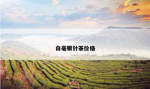 白毫银针茶价格