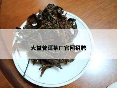 大益普洱茶厂官网招聘