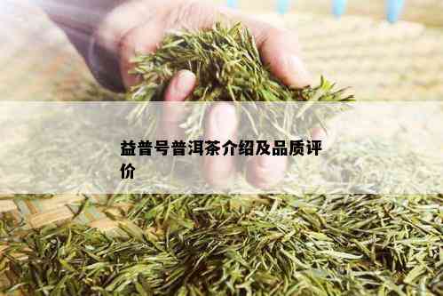 益普号普洱茶介绍及品质评价