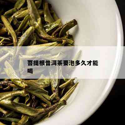 菩提根普洱茶要泡多久才能喝