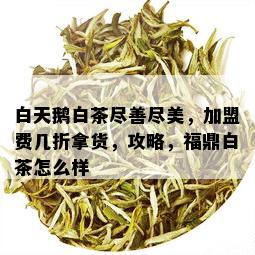 白天鹅白茶尽善尽美，加盟费几折拿货，攻略，福鼎白茶怎么样