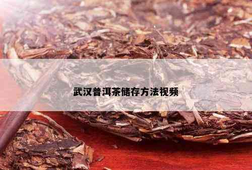 武汉普洱茶储存方法视频