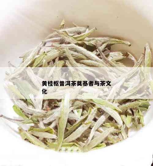 黄桂枢普洱茶奠基者与茶文化