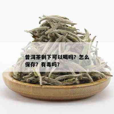 普洱茶剩下可以喝吗？怎么保存？有吗？