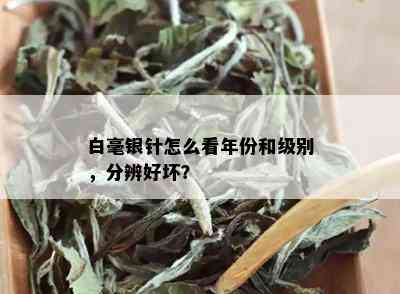 白毫银针怎么看年份和级别，分辨好坏？