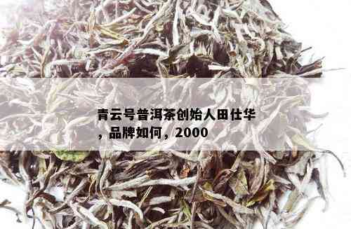 青云号普洱茶创始人田仕华，品牌如何，2000