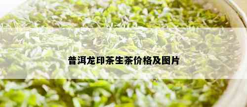 普洱龙印茶生茶价格及图片