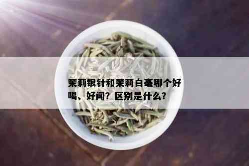 茉莉银针和茉莉白毫哪个好喝、好闻？区别是什么？