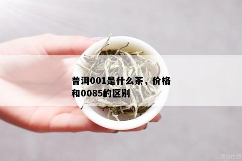 普洱001是什么茶，价格和0085的区别