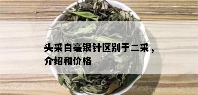 头采白毫银针区别于二采，介绍和价格