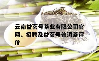 云南益茗号茶业有限公司官网、招聘及益茗号普洱茶评价