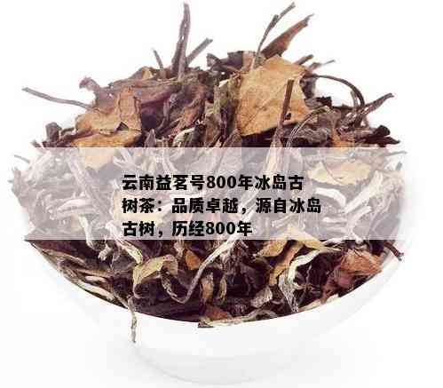 云南益茗号800年冰岛古树茶：品质卓越，源自冰岛古树，历经800年