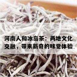 河南人和冰岛茶：两地文化交融，带来新奇的味觉体验