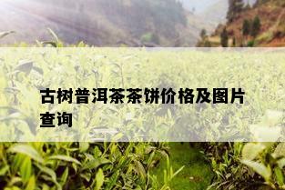 古树普洱茶茶饼价格及图片查询