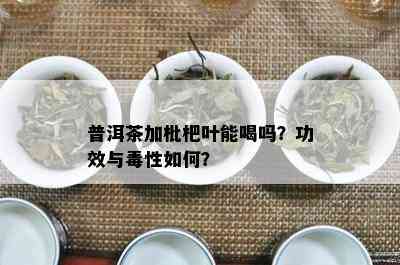 普洱茶加枇杷叶能喝吗？功效与性如何？