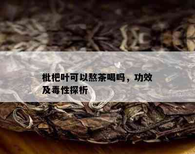 枇杷叶可以熬茶喝吗，功效及性探析