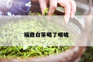 福鼎白茶喝了喉咙