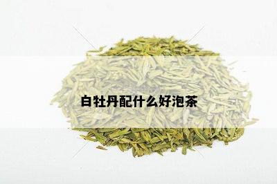 白牡丹配什么好泡茶