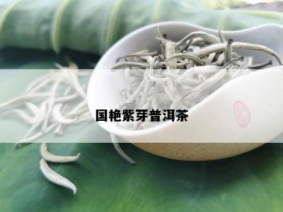 国艳紫芽普洱茶