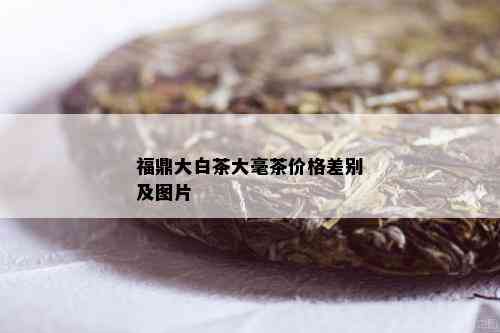 福鼎大白茶大毫茶价格差别及图片