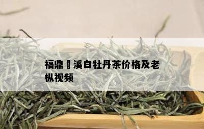 福鼎磻溪白牡丹茶价格及老枞视频