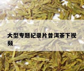 大型专题纪录片普洱茶下视频