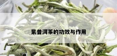 紫普洱茶的功效与作用