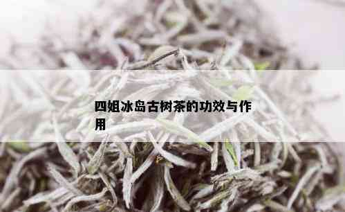 四姐冰岛古树茶的功效与作用