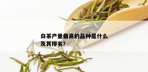 白茶产量更高的品种是什么及其排名？