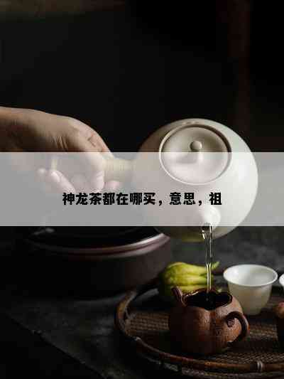 神龙茶都在哪买，意思，祖