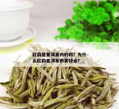 红韵是普洱茶内的吗？为什么红韵普洱茶熟茶特点？