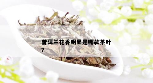 普洱兰花香明显是哪款茶叶？