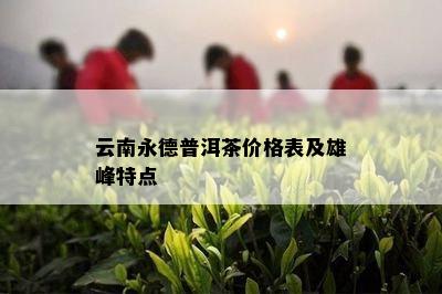 云南永德普洱茶价格表及雄峰特点