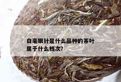 白毫银针是什么品种的茶叶属于什么档次？