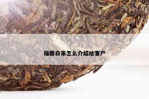 福鼎白茶怎么介绍给客户