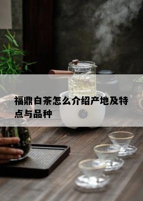 福鼎白茶怎么介绍产地及特点与品种